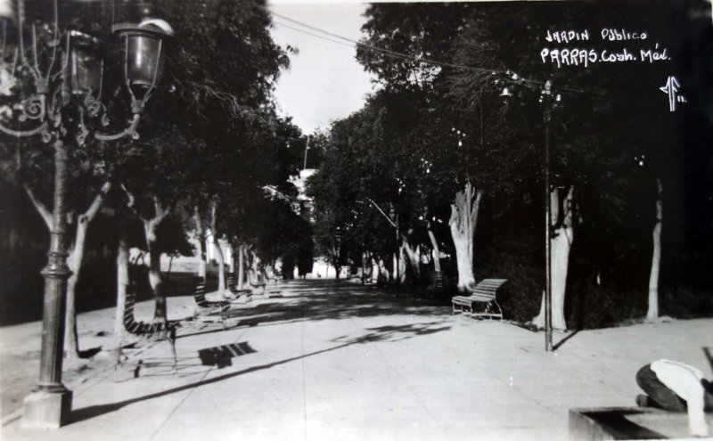 Fotos de Parras De La Fuente, Coahuila: Jardin publico.