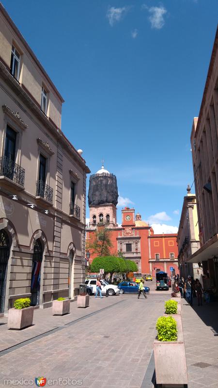 Fotos de Querétaro, Querétaro: Jardín Zenea