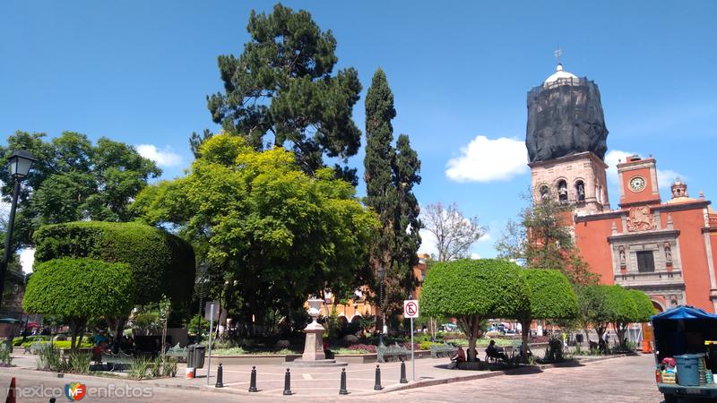 Fotos de Querétaro, Querétaro: Jardín Zenea