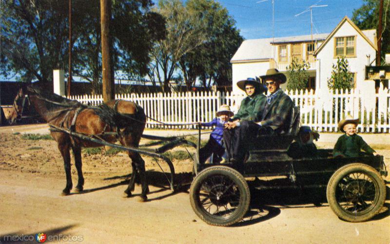 Fotos de Cuauhtémoc, Chihuahua: Coche típico donde viajan los colonos menonitas (II)