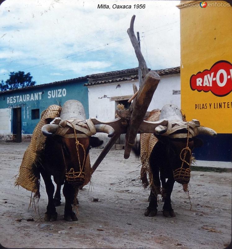 Fotos de Mitla, Oaxaca: Mitla, Oaxaca 1956