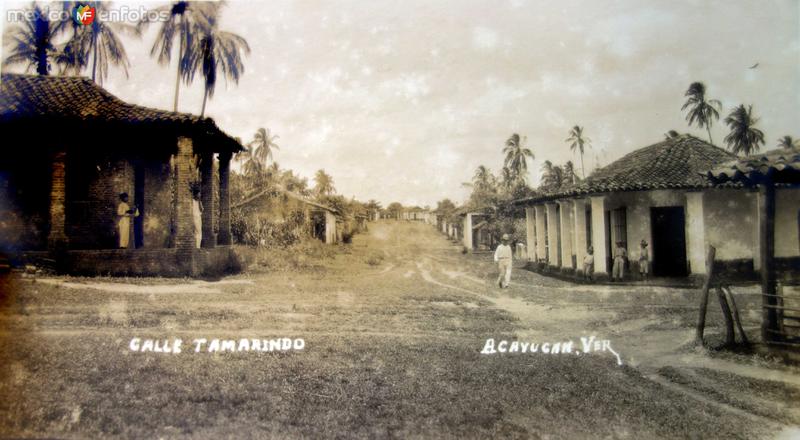 Fotos de Acayucan, Veracruz: Calle Tamarindo.