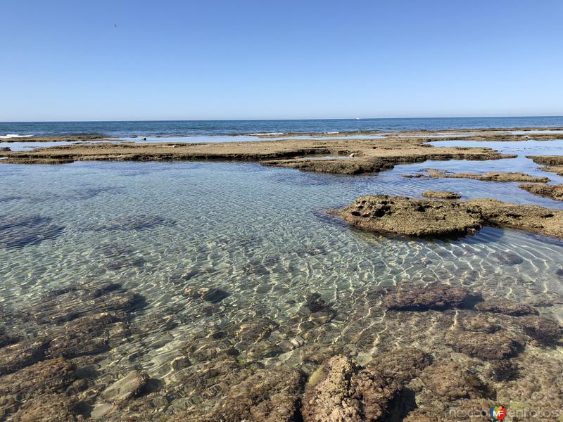 Fotos de Puerto Peñasco, Sonora: Marea Baja