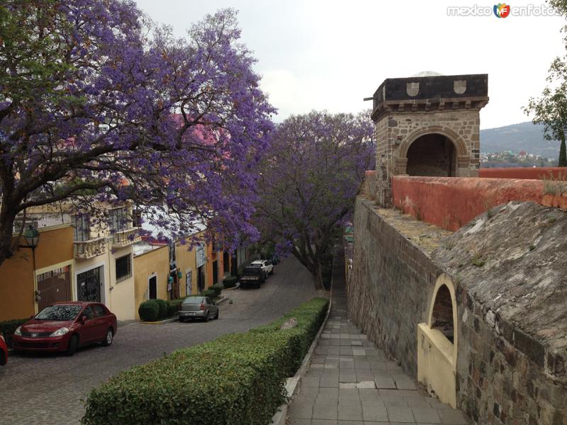 Fotos de Tlaxcala, Tlaxcala: La calle del vecino en primavera, a la derecha el ex-convento franciscano del siglo XVI. Abril/2018