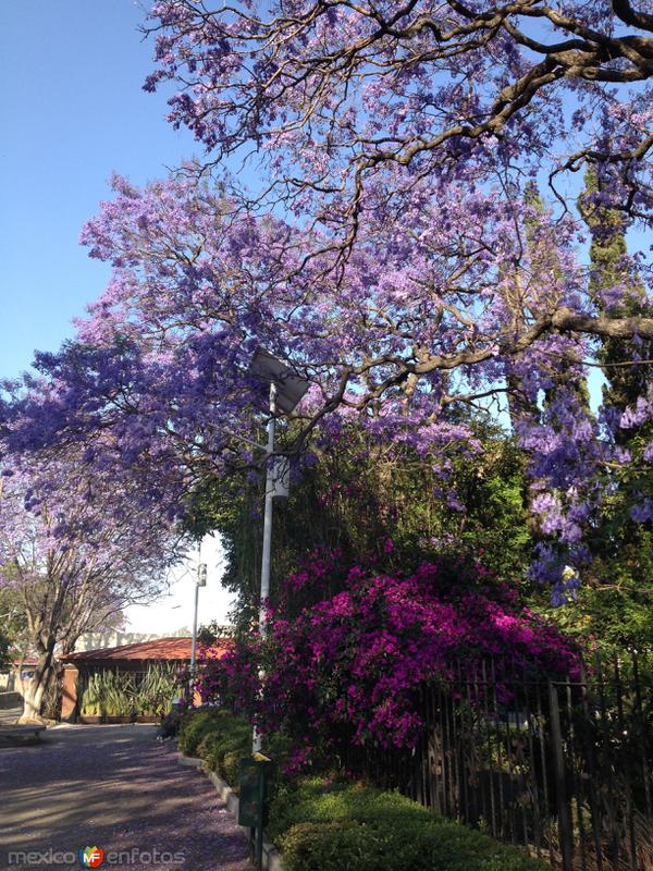 Fotos de Tlaxcala, Tlaxcala: Parque paseo de las Artesanías. Abril/2018