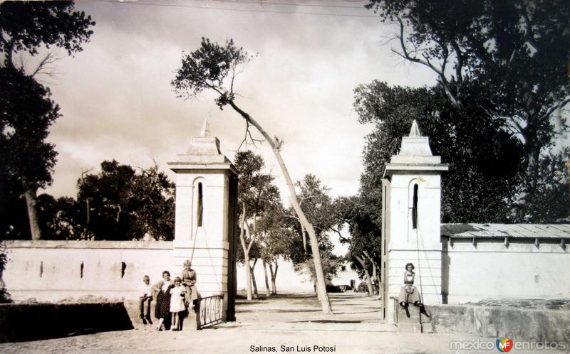 Fotos de Salinas, San Luis Potosí: Escena callejera Salinas, San Luis Potosí .