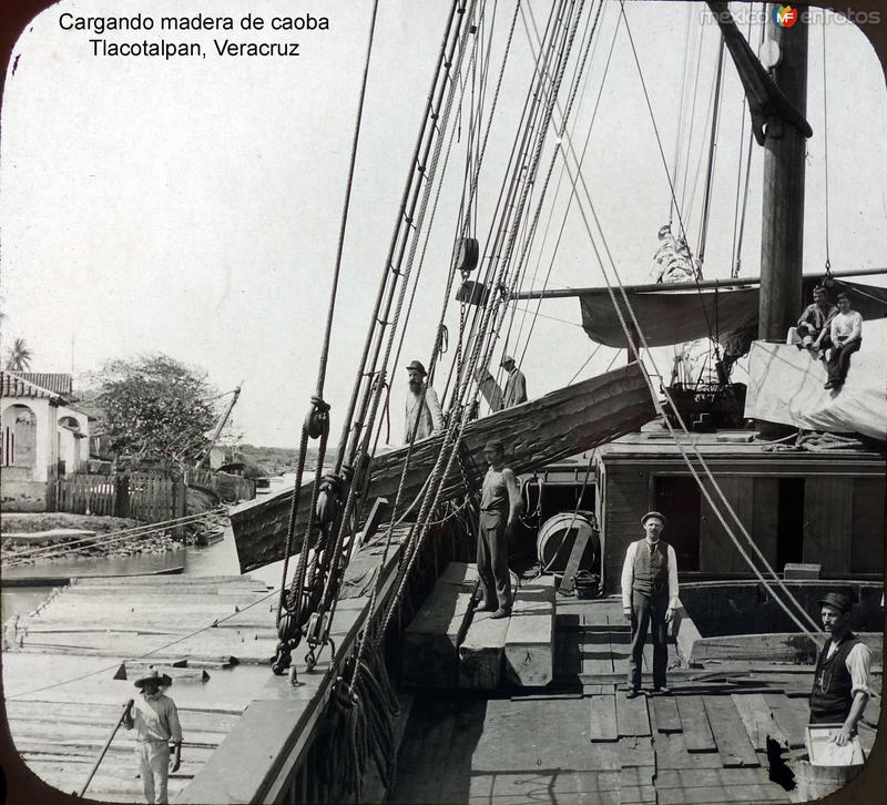 Fotos de Tlacotalpan, Veracruz: Cargando madera de caoba Tlacotalpan, Veracruz.