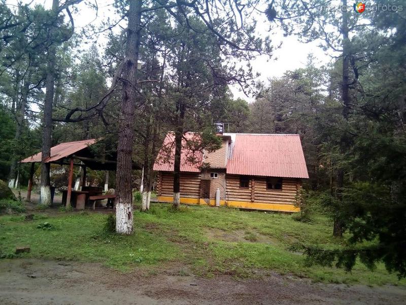 Fotos de El Salto, Durango: coscomate