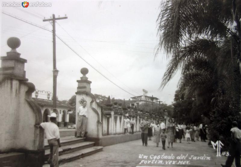 Fotos de Fortín De Las Flores, Veracruz: Un costado del jardin.