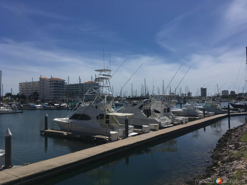 Fotos de Mazatlán, Sinaloa: Marina Mazatlán