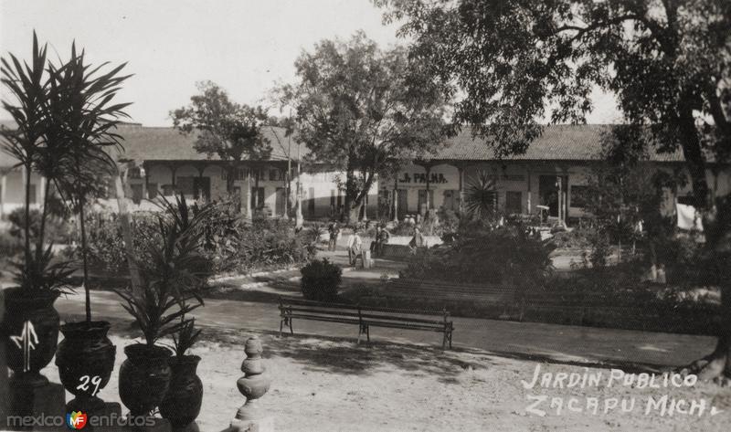 Fotos de Zacapú, Michoacán: Jardín principal