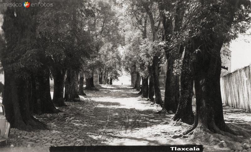 Fotos de Tlaxcala, Tlaxcala: Calle en Tlaxcala