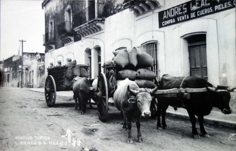 Fotos de Linares, Nuevo León: Motivo tipico.