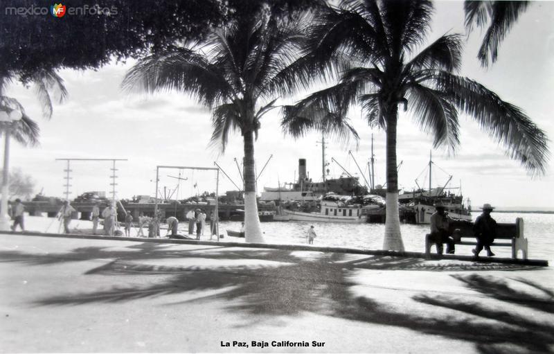 Fotos de La Paz, Baja California Sur: El Puerto de La Paz, Baja California Sur ( Circulada el 8 de Agosto de 1955 ).