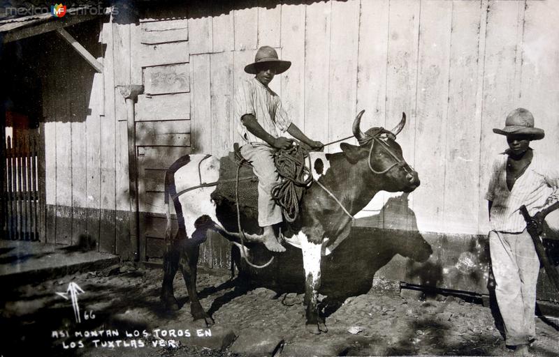 Fotos de San Andrés Tuxtla, Veracruz: Tipos mexicanos asi montan los toros..