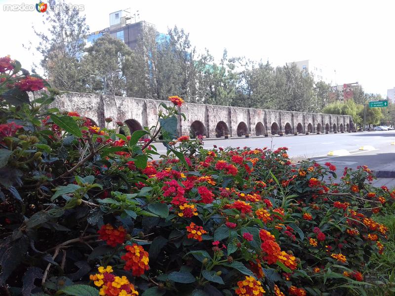 Fotos de Ciudad De México, Distrito Federal: Avenida Chapultepec con el acueducto. Julio/2018