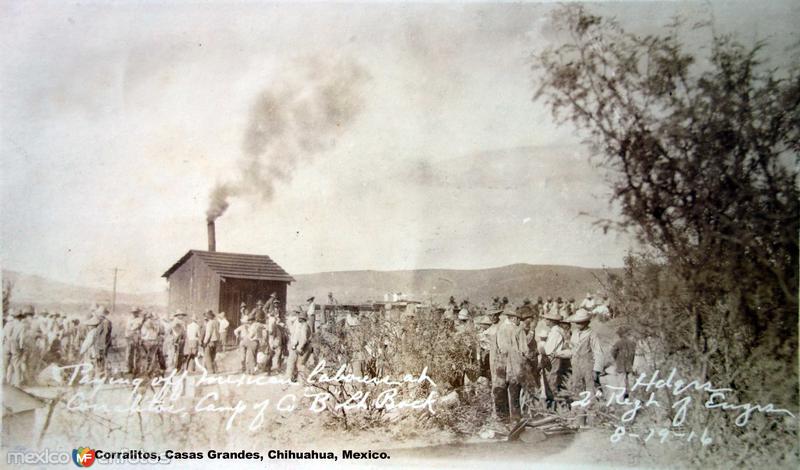 Fotos de Casas Grandes, Chihuahua: Mexicanos haciendo linea para cobrar su jornada Campo Corralitos, Casas Grandes, Chihuahua, Mexico Fechada el 19 de Agosto de 1916.