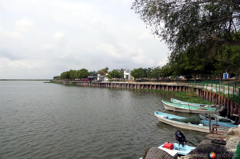 Fotos de Altamira, Tamaulipas: Paseo Laguna el Champayan