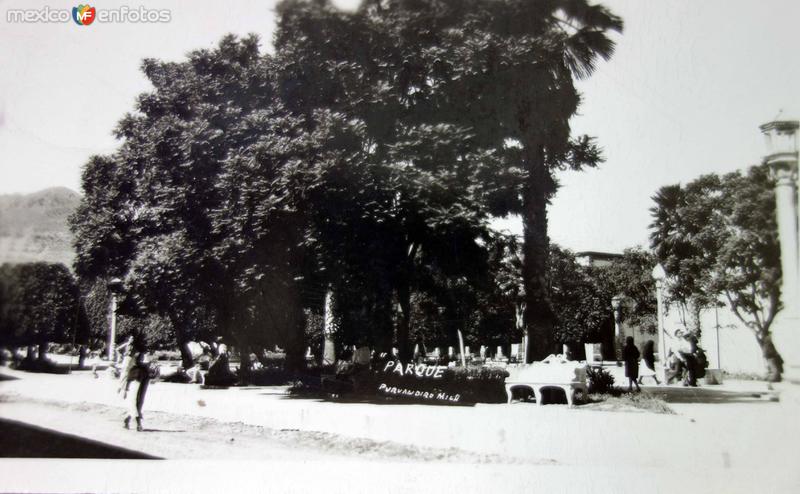 Fotos de Puruandiro, Michoacán: Parque. ( Circulada el 1 de Enero de 1957 ).