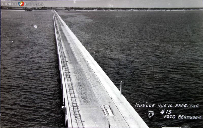 Fotos de Progreso, Yucatán: Muelle nuevo Progreso.