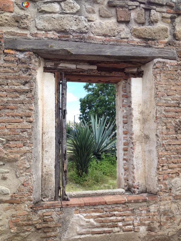 Fotos de Mitla, Oaxaca: Zona arqueológica de Mitla, grupo de la Iglesia. Julio/2018