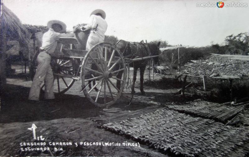 Fotos de Escuinapa, Sinaloa: Motivo tipico cargando camaron y pescado.