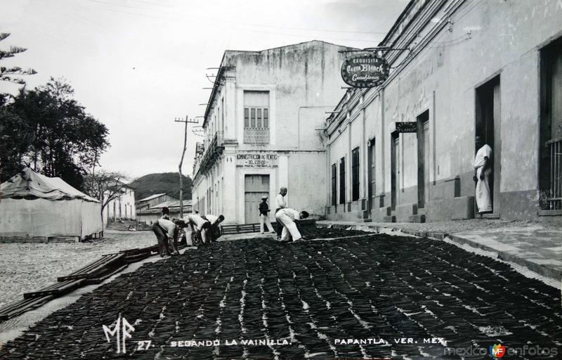 Fotos de Papantla, Veracruz: Secando La Vainilla.