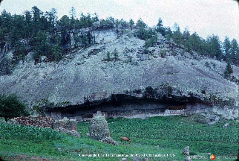 Fotos de Creel, Chihuahua: Cuevas en donde viven algunos Tarahumaras 1976