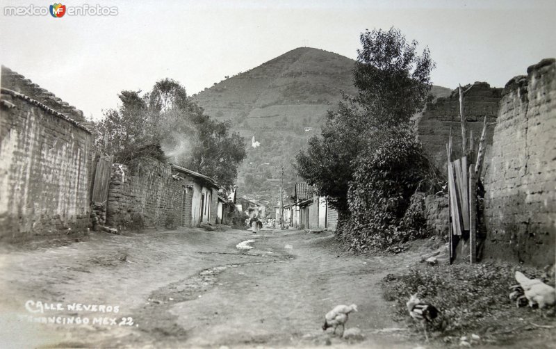 Fotos de Tenancingo, México: Calle Neveros.