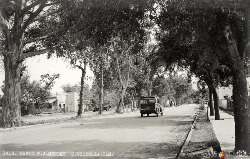 Fotos de Ciudad Victoria, Tamaulipas: Paseo P. J. Méndez