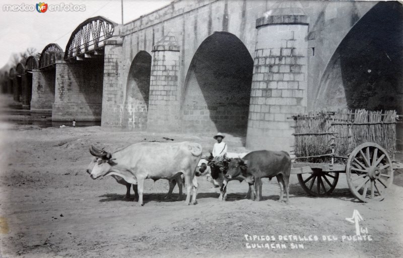 Fotos de Culiacán, Sinaloa: Tipicos detalles del Puente.