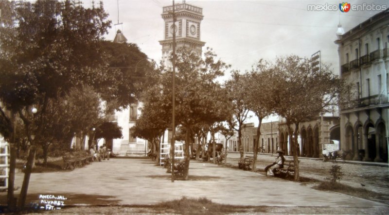 Fotos de Ameca, Jalisco: Escena en la plaza principal.