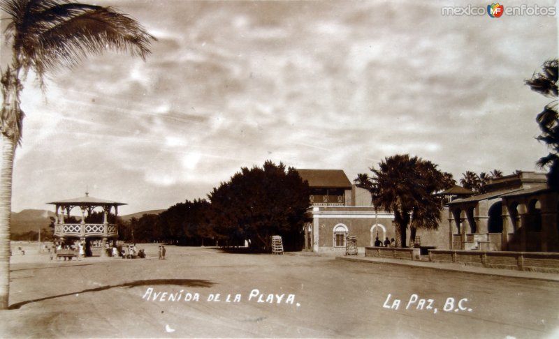 Fotos de La Paz, Baja California Sur: Avenida de la playa.( Circulada el 21 de Agosto de 1927 ).