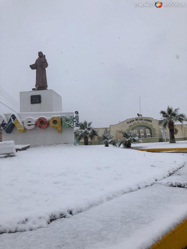 Fotos de Meoqui, Chihuahua: Cd Meoqui Chihuahua bajo la nieve.