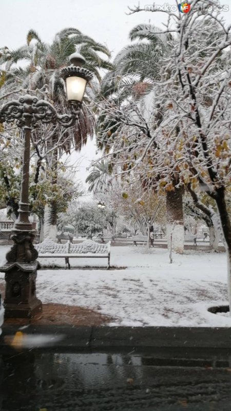 Fotos de Meoqui, Chihuahua: Plaza de la Constitución, Meoqui Chihuahua.