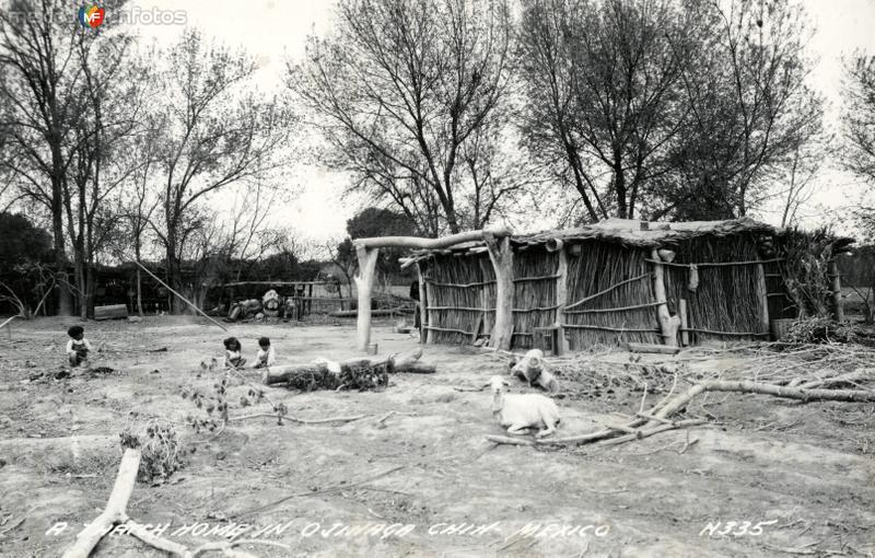 Fotos de Ojinaga, Chihuahua: Casa con techo de paja