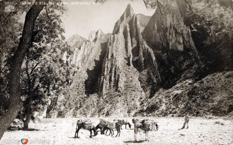 Fotos de Santa Catarina, Nuevo León: Cañón de la Huasteca