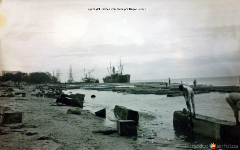 Fotos de Ciudad Del Carmen, Campeche: Laguna del Carmen Campeche por el Fotógrafo Hugo Brehme.