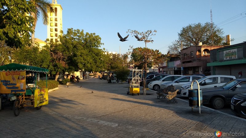 Fotos de Ciudad Mante, Tamaulipas: Plaza Plutarco Elías Calles