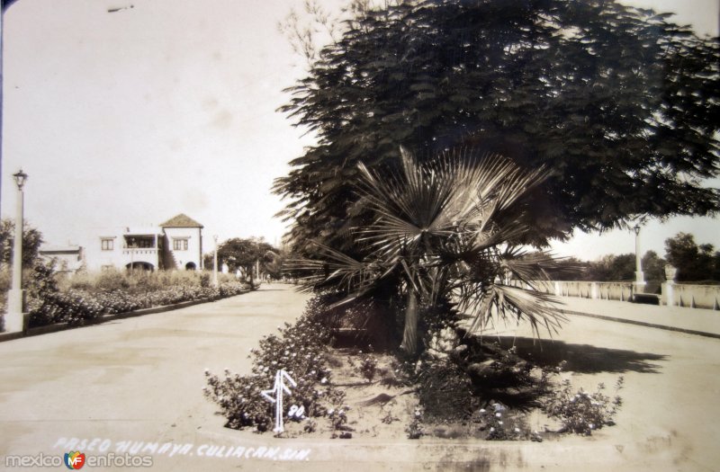 Fotos de Culiacán, Sinaloa: Paseo Humaya.