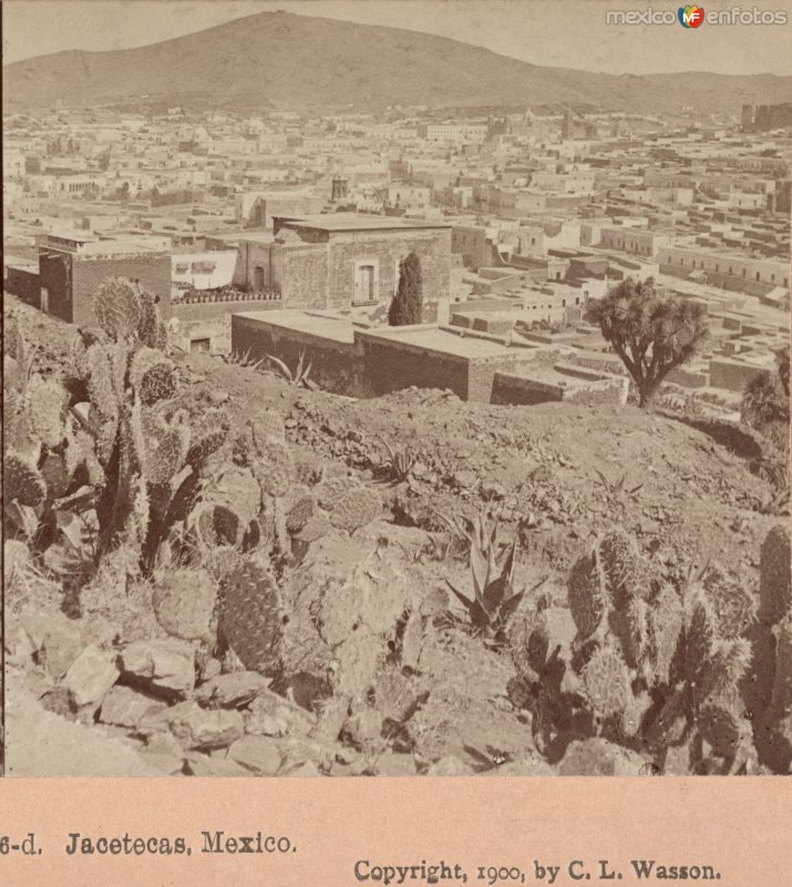 Fotos de Zacatecas, Zacatecas: Panorama 1900.