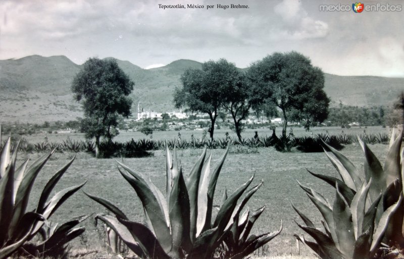 Fotos de Tepotzotlán, México: Panorama  por el fotografo Hugo Brehme.