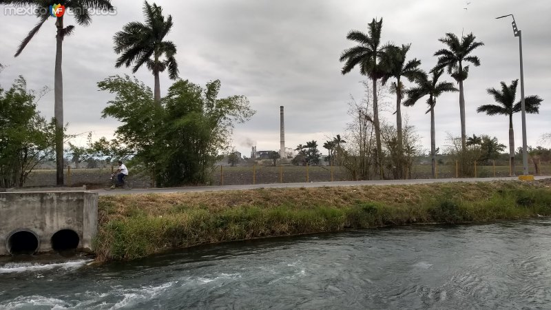 Fotos de Ciudad Mante, Tamaulipas: Ingenio Mante