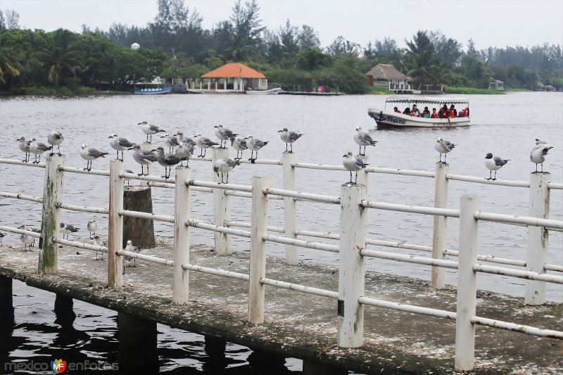 Fotos de Casitas, Veracruz: Estero Casitas