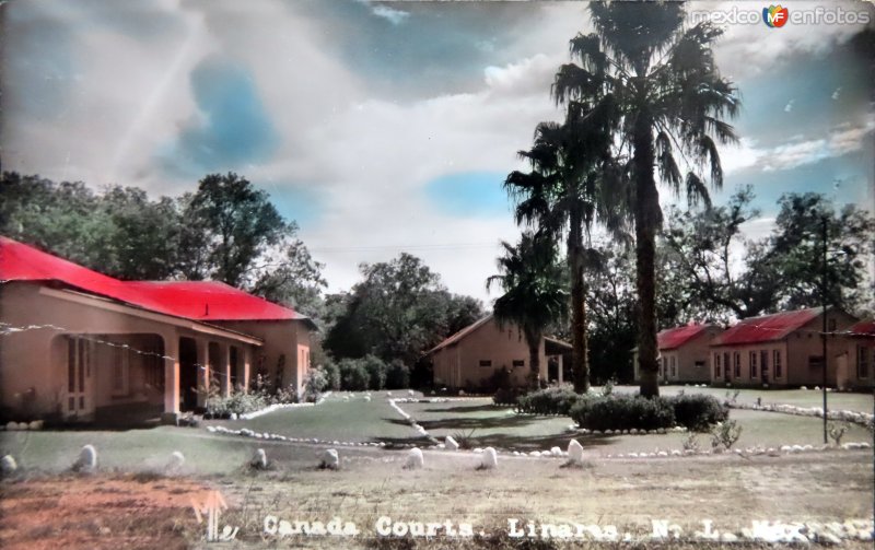 Fotos de Linares, Nuevo León: Canada courts.