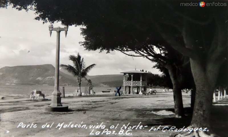 Fotos de La Paz, Baja California Sur: Parte del malecon al norte.( Circulada el 3 de Marzo de 1936 ).