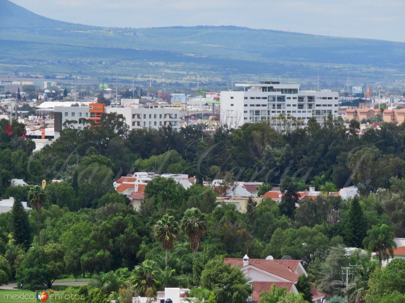 Fotos de Celaya, Guanajuato: Torre Campestre