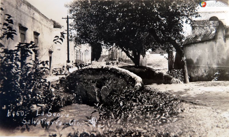 Fotos de Salvatierra, Guanajuato: El acequia