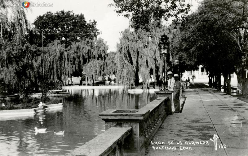 Fotos de Saltillo, Coahuila: Lago de la Alameda