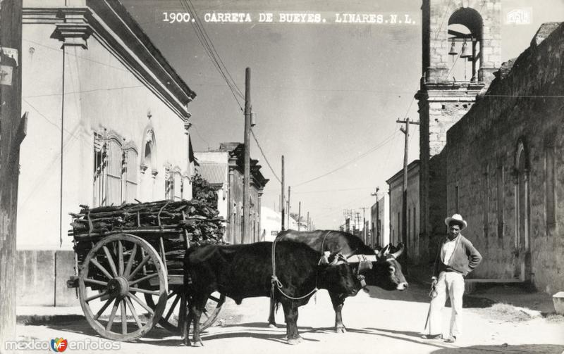 Fotos de Linares, Nuevo León: Carreta de bueyes